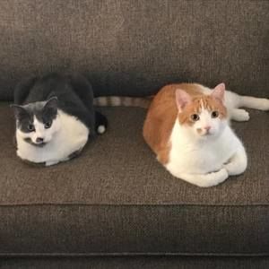 Meet your Posher, Traci